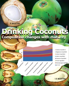 coconut nutritional age analysis